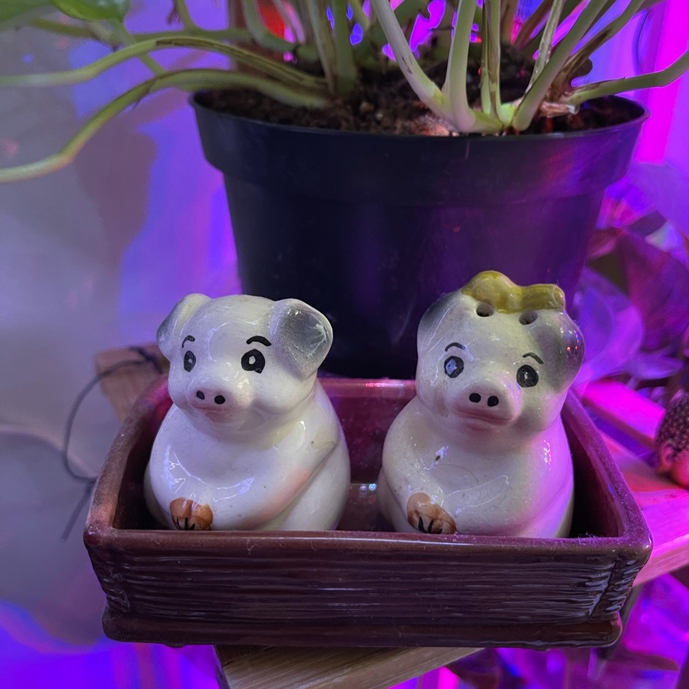 Piggy salt & pepper shakers